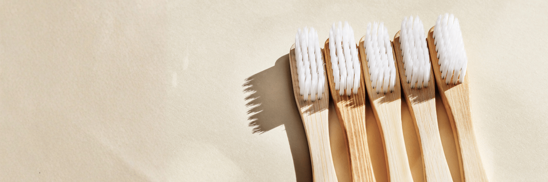 Preventive Dentistry | Dentist